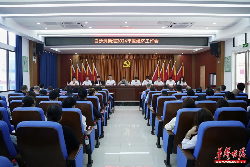 衡阳白沙洲街道召开2024年经济工作会议华声社区频道