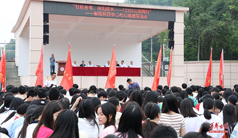 图片12.png