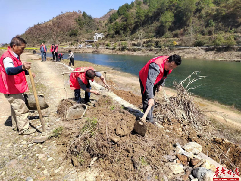 溆浦县水东镇：推进人居环境整治，建设美丽宜居乡村华声社区频道