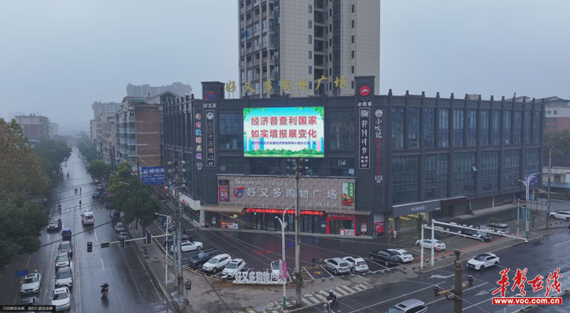 图片10.png