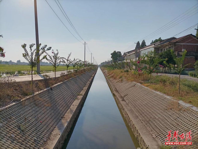 1709608503235385.png 图片18.png