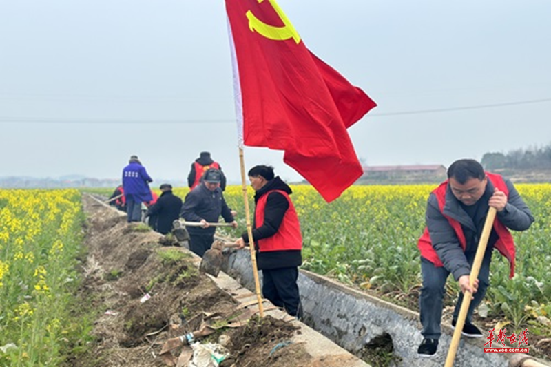 图片8.png