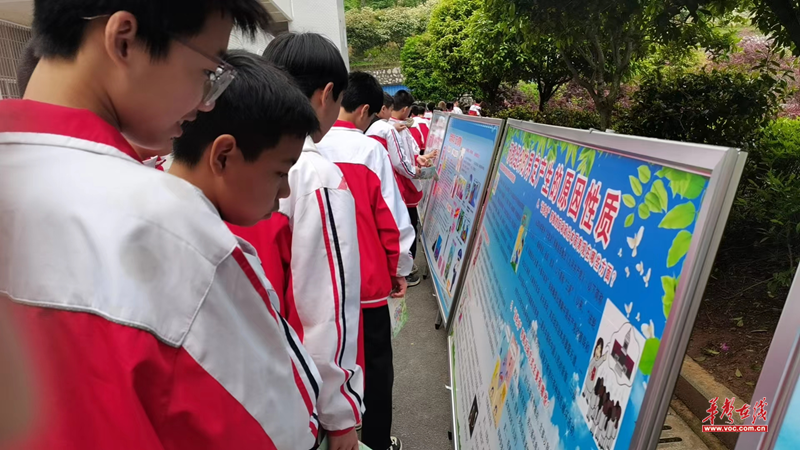 图片19.png
