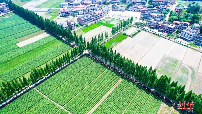 微信图片_20240604103658.png