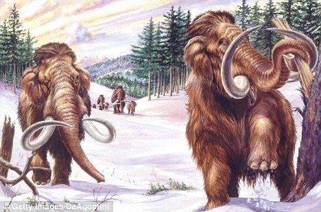 复活：科学家借助克隆技术，可能会在未来5年内让这种在数千年前灭绝的远古猛犸象重新复活。