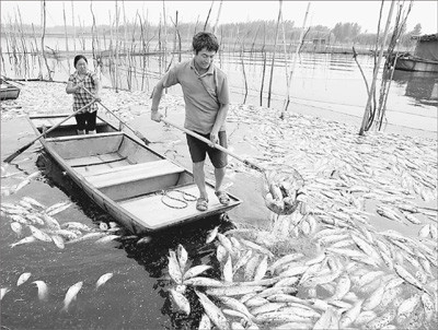 安徽沱湖自然保护区变“酱油湖”调查近一月未果