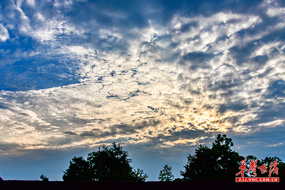 DSC_9848.jpg