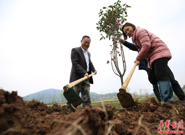 周玉梅书记和林启洋区长在植树.jpg