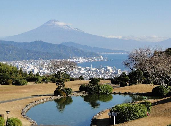 （日本新华侨报）