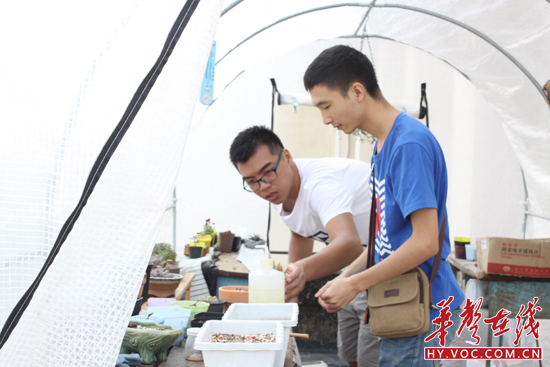 陈嘉斌和成员整理温室，温室用来冬天的时候培育花草.JPG