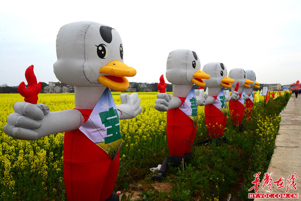 阳春三月，湖南衡南县宝盖镇万顷油菜公园内，一个个“充气娃娃”欢迎游客到来 陈太仰 摄.JPG