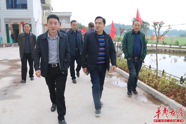 衡南县副县长唐湘黔调研泉湖镇美丽乡村建设 华声在线衡阳频道