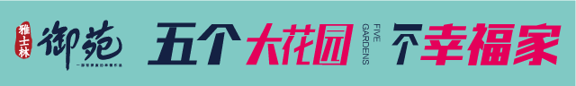 1499000758101857.gif