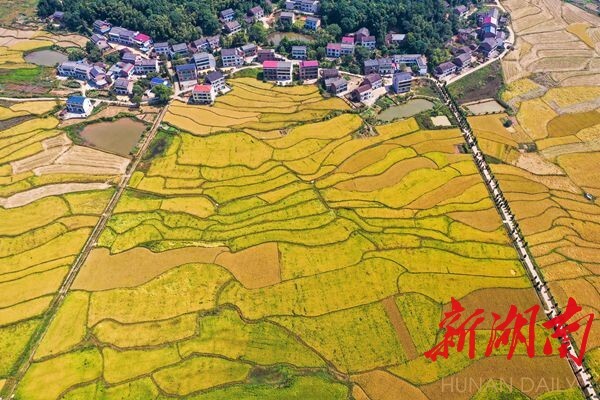 2022中国农民丰收节湖南主会场（衡东）活动即将举行