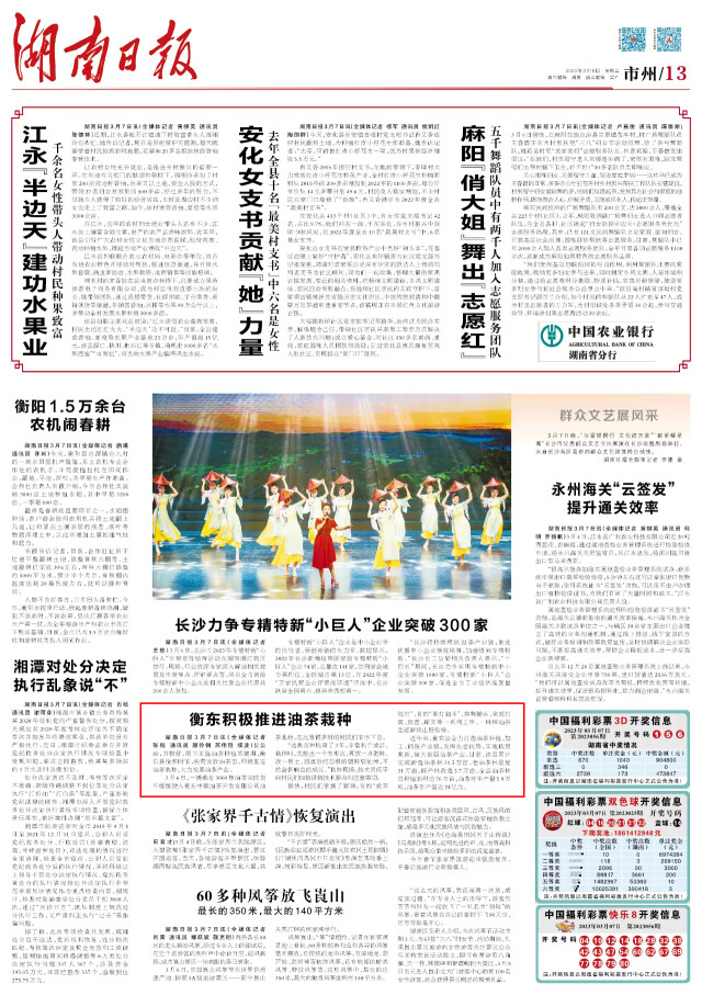 湖南日报丨衡东积极推进油茶栽种