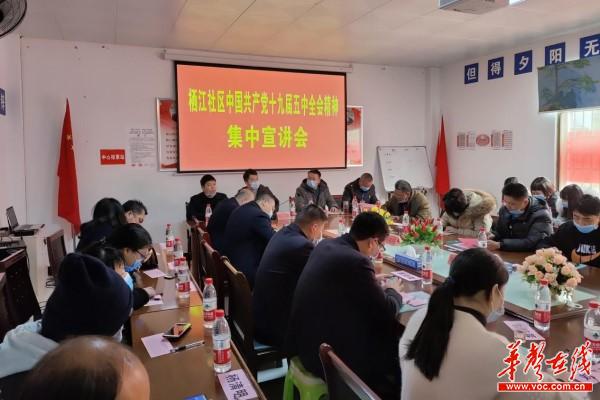 栖凤渡镇换届选举期间开展十九届区中全会宣讲活动1.jpg