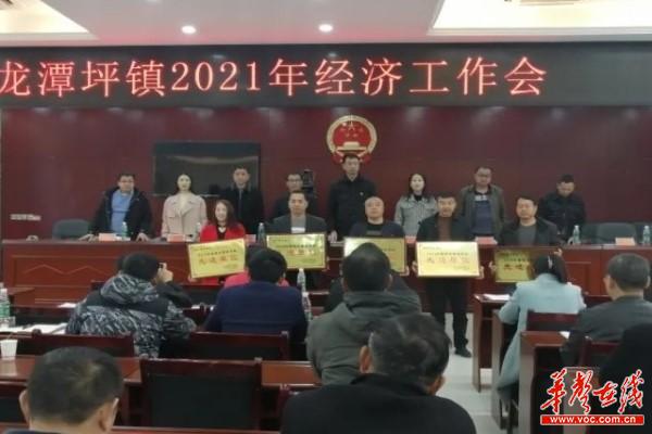 322桑植县龙潭坪镇召开2021年度经济工作会议2.jpg