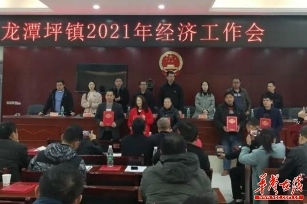 322桑植县龙潭坪镇召开2021年度经济工作会议3.jpg