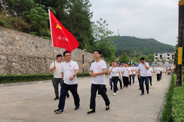 41国网江华县供电公司开展“祭先烈、慰英灵、学党史、念党恩”主题党日活动2.jpg