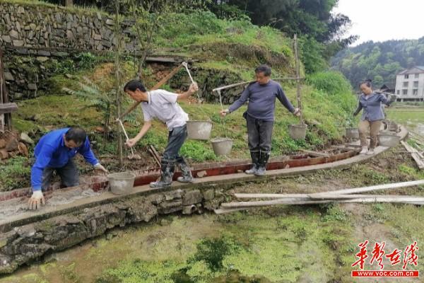 靖州坳上镇村民整修水渠灌溉“非粮化”耕地   促稳定粮食生产1.jpg