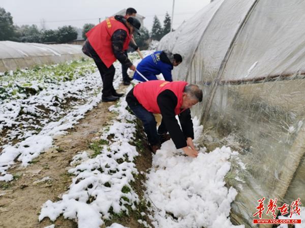 浏阳关口街道：以雪为令，全力出击527_副本.jpg