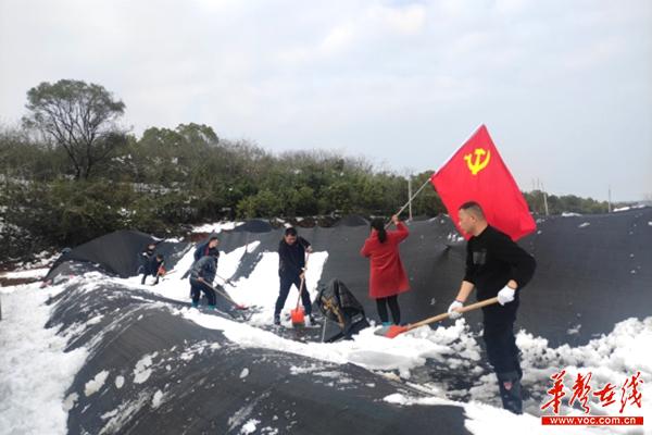 除冰雪 保申通 车马村干群齐心协力迎战低温冰雪天气269_副本.jpg