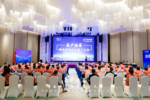 神农科技子公司举办“湖南省高产油菜推广大会”
