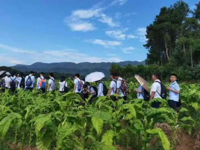 走出教室走出课本 常德芷兰学子走进王化村感受乡村振兴677.png