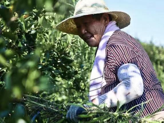 图片3.jpg 图片3.jpg