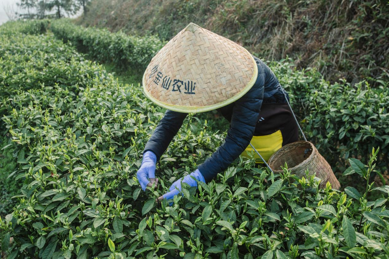 图片3.png 图片3.png