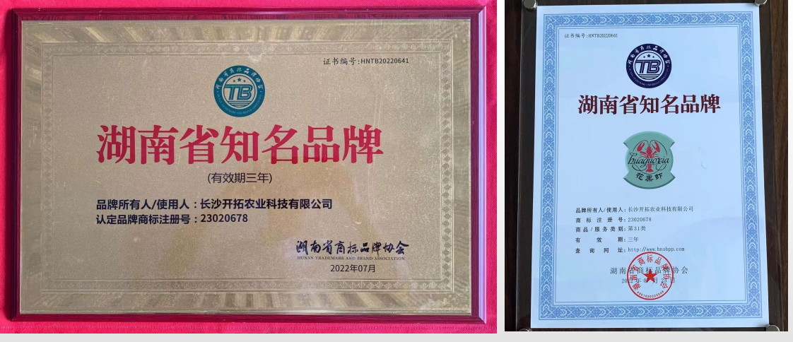 图片5.png 图片5.png