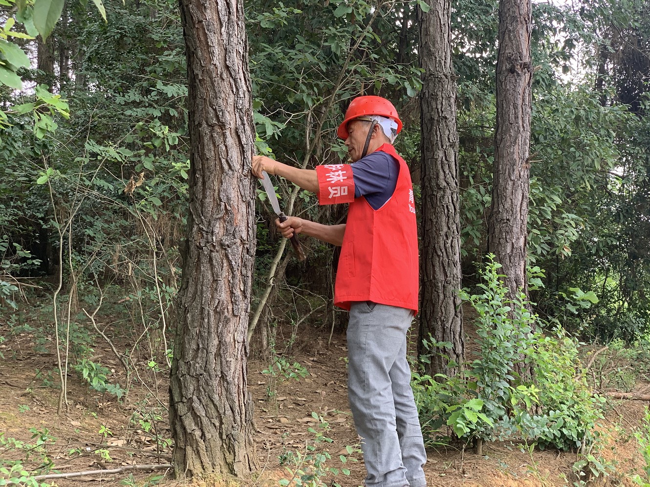 屏幕截图 2022-08-19 154130.jpg 屏幕截图 2022-08-19 154130.jpg