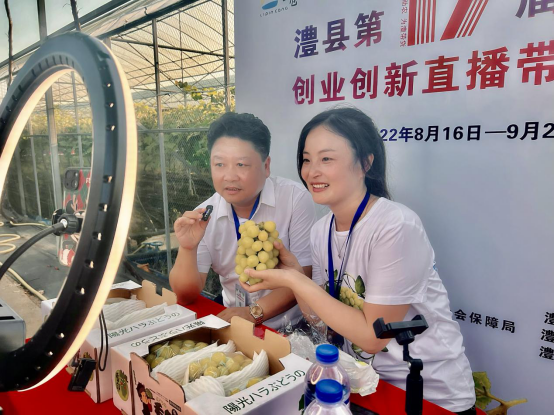 澧县第十七届葡萄节创业创新直播带货大赛启动274.png