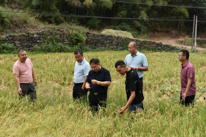 桃源二中：深入点村了解民情，齐心协力共度旱情118.png