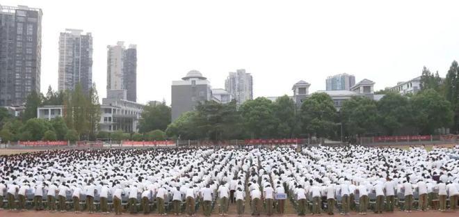 图片8.jpg 图片8.jpg