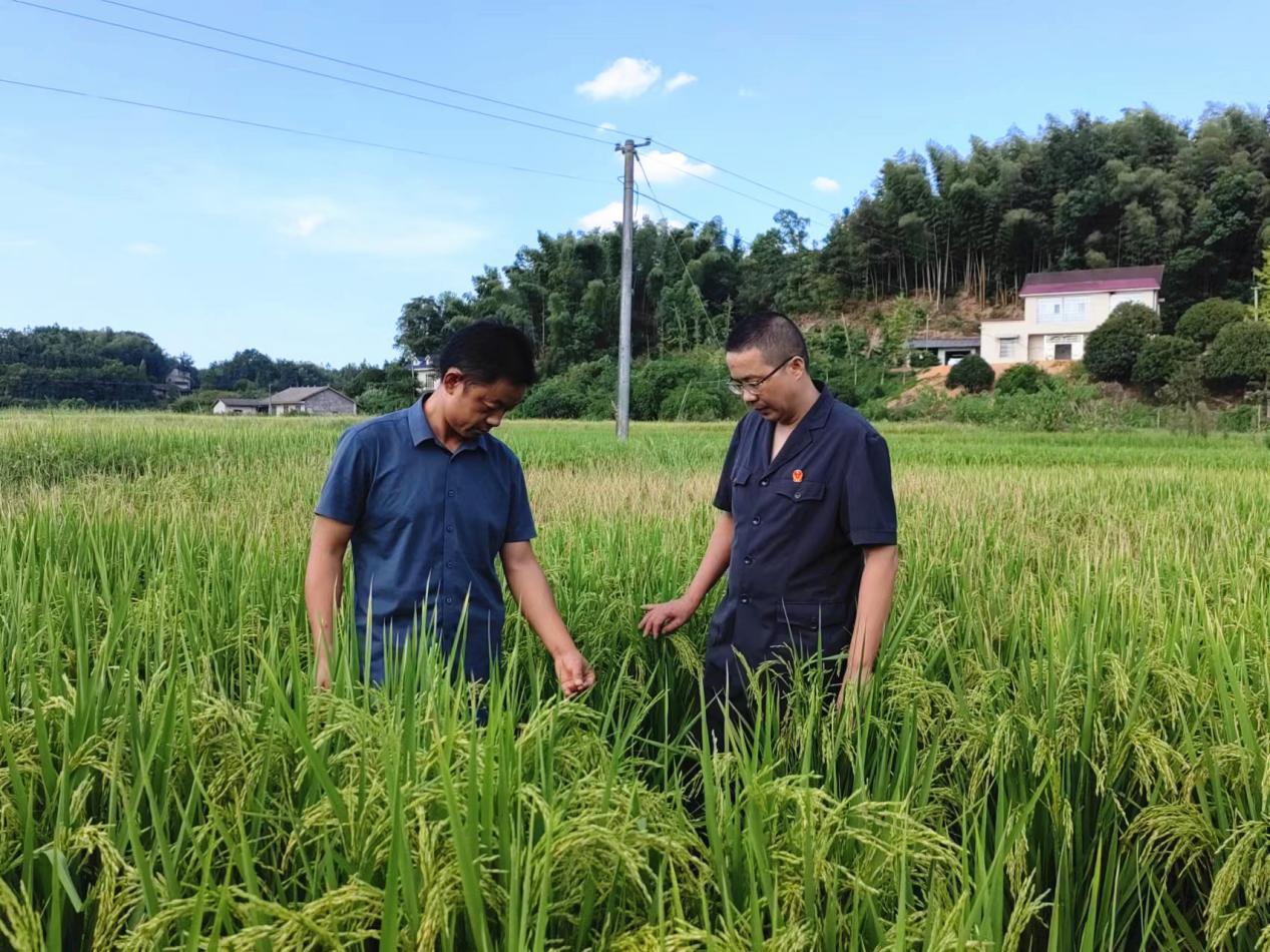 图片1.jpg 图片1.jpg