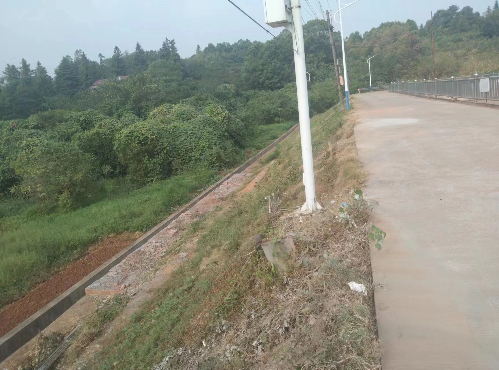 图片2.jpg 图片2.jpg