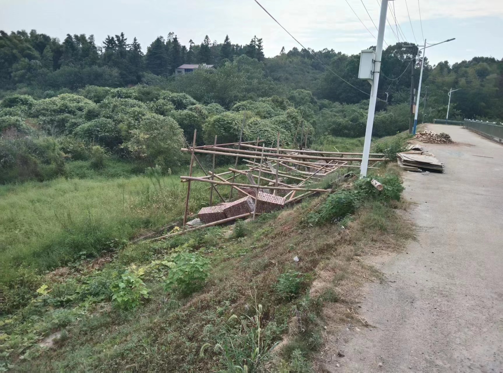 图片1.jpg 图片1.jpg