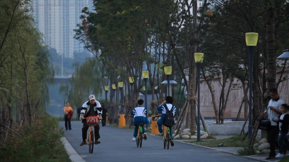 点亮株洲夜经济1020.png 点亮株洲夜经济1020.png