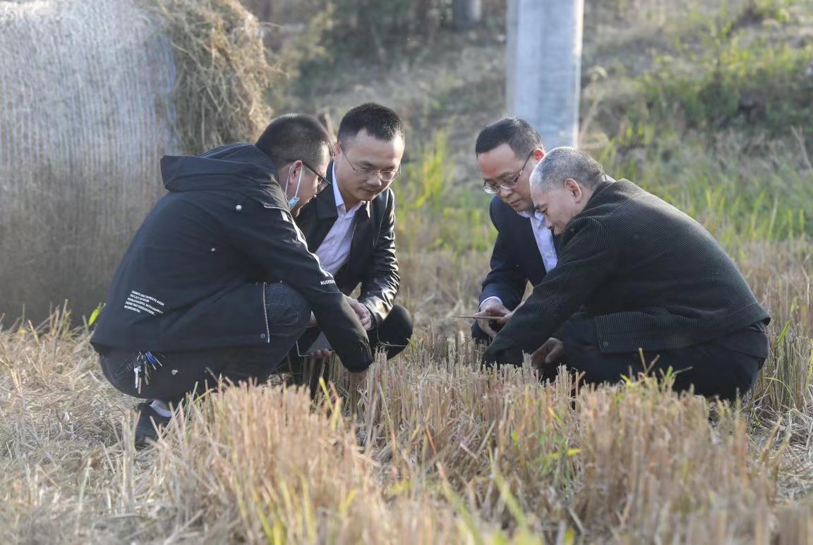 图片2.jpg 图片2.jpg