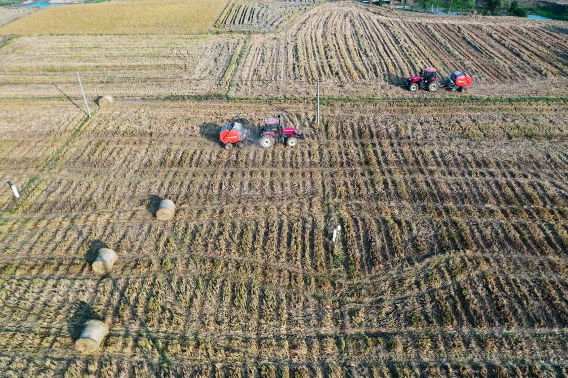 图片1.jpg 图片1.jpg