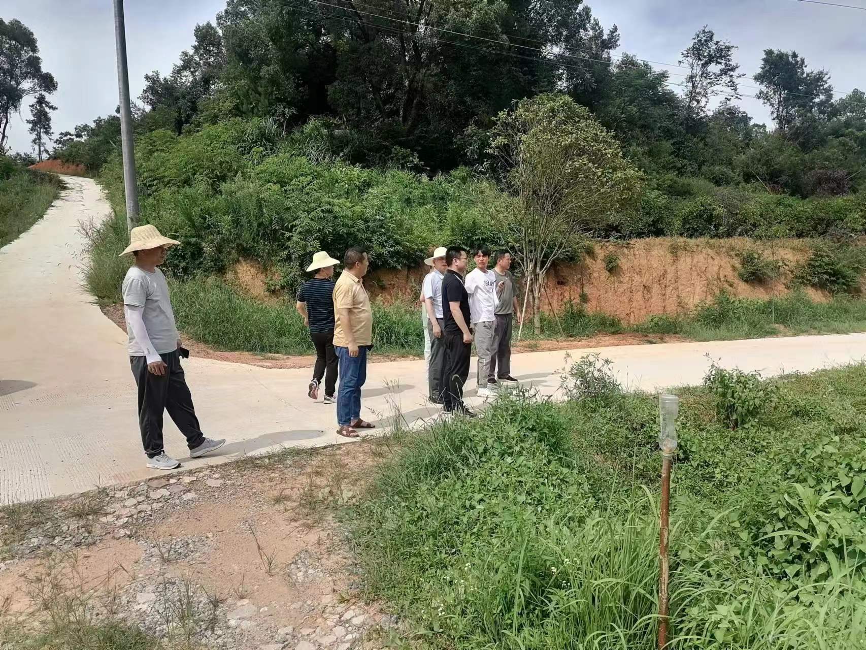 图片3.jpg 图片3.jpg