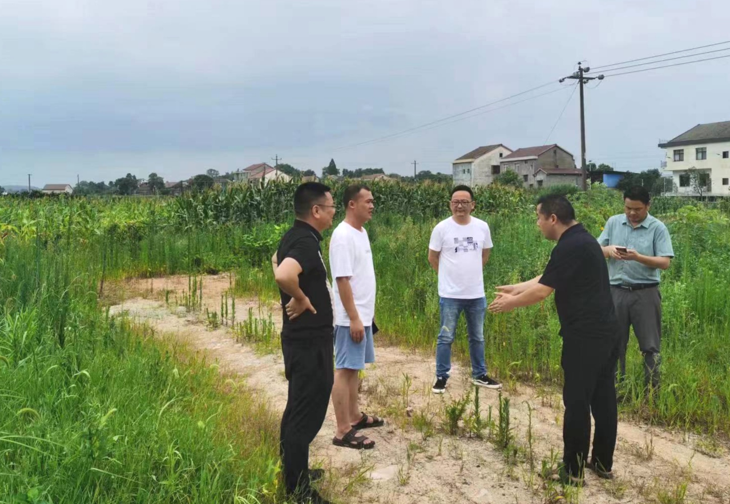 图片4.jpg 图片4.jpg