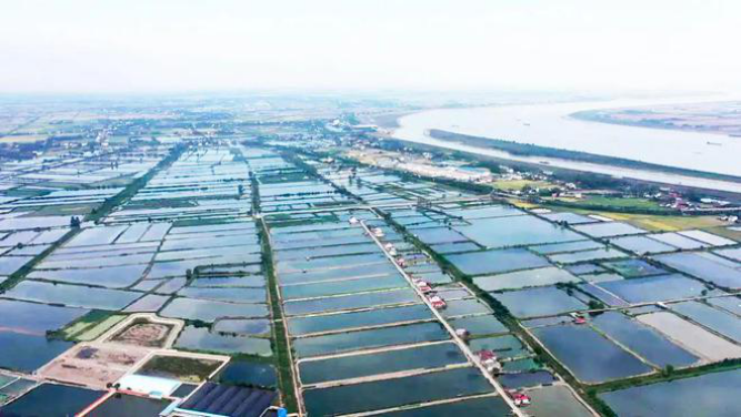 湖南汉寿：国字号招牌助力续写甲鱼“甲天下”传奇482.png