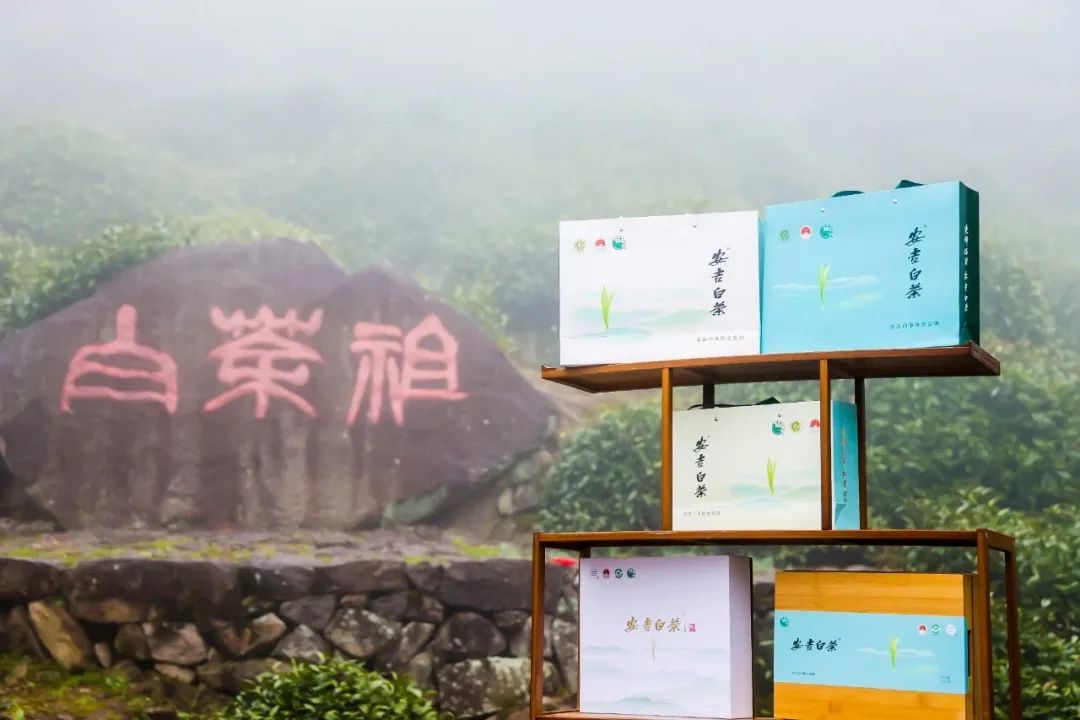 微信图片_20230404151113.jpg