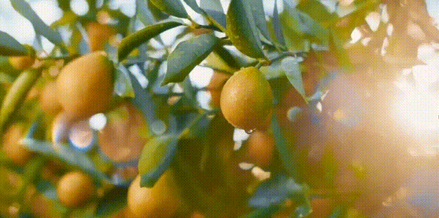 微信图片_20230404150155.gif