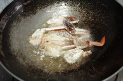姜葱炒螃蟹的做法步骤：5