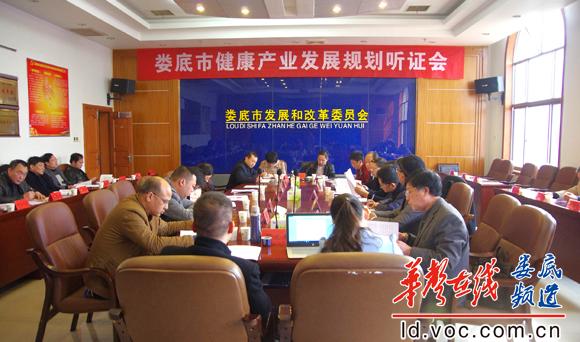 娄底市召开健康产业发展规划听证会.jpg