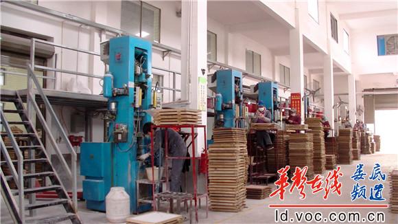 图为已建成投产的标准厂房-2.JPG.JPG