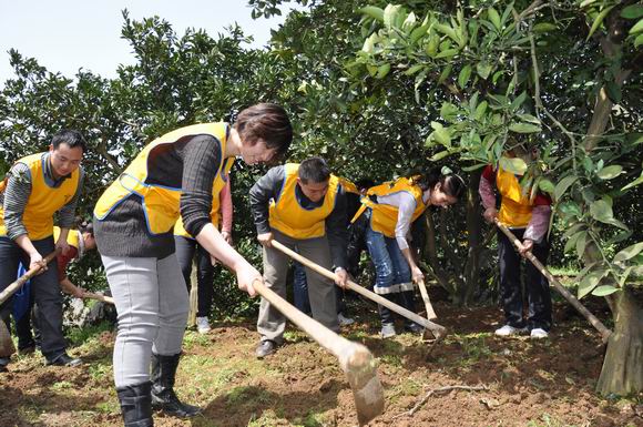 九兴控股兴雄鞋厂:助力困难农户春耕备耕 华声在线邵阳频道
